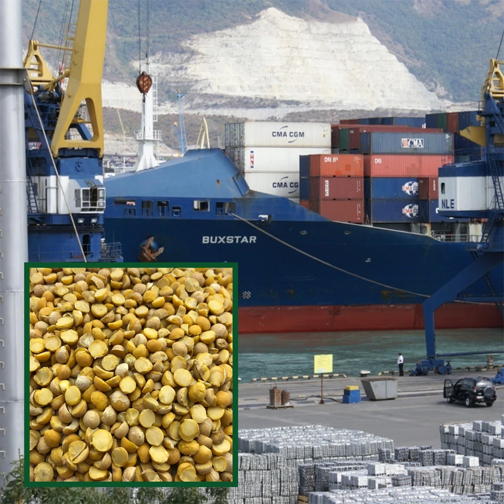 Quality split chickpeas  25/35 kg bags or in bulk, product of Russia