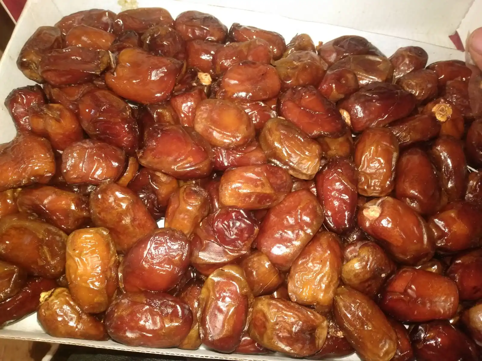 Premium quality Egyptian semi dry Wahati dates for Export