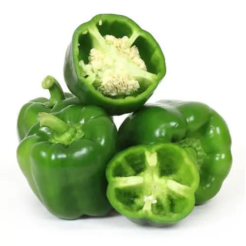 Quality capsicum color sweet bell pepper/yellow/green/red