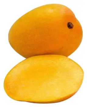 Special Fresh Chaunsa Mangoes From Pakistan
