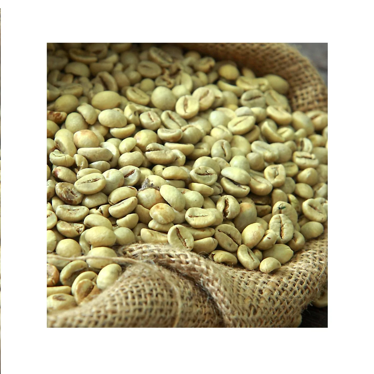 
Wholesale Coffee in Vietnam 