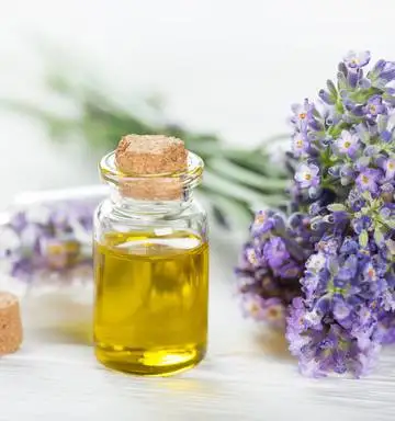 Lavender Hydrosol With Skin Toner Characteristic Best Seller Wholesale Lavender Hydrosol Fragrance Top Manufacturer Lavender Oil