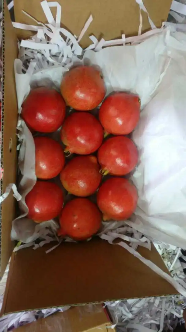 Свежий стандартный гранат экспортируется из индии