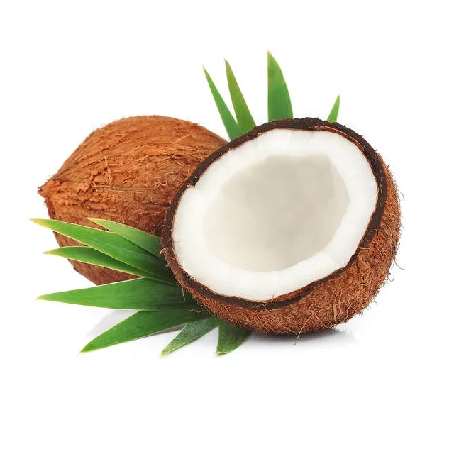 Полуочищенный кокос, экспортер из Индии