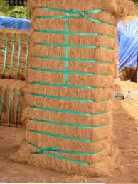 
Natural Coir Fibre Coconut Fiber Coco Coir 