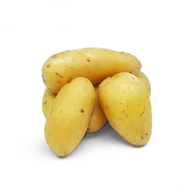 100% натуральный органический картофель, поставка OEM по низкой цене, свежий картофель из бангладеш