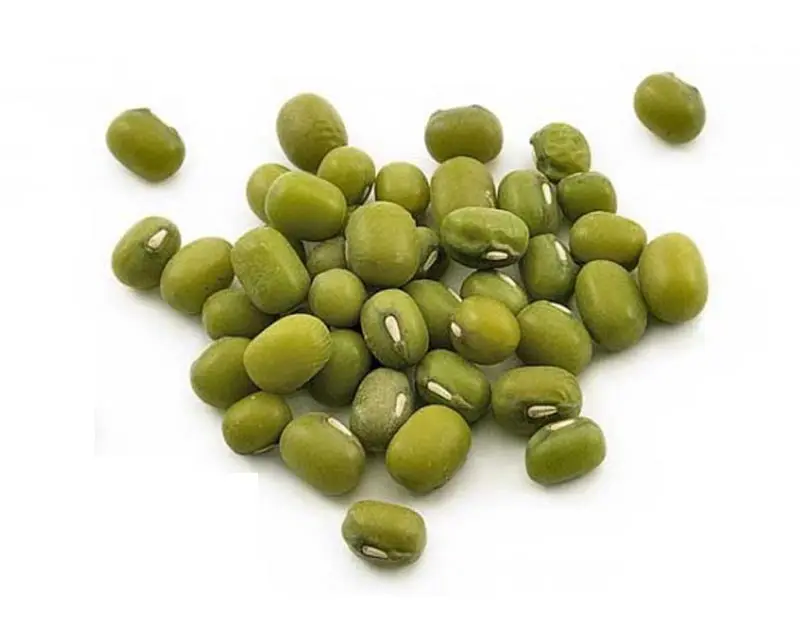 Hot Sale KENYA Organic Green Mung Bean
