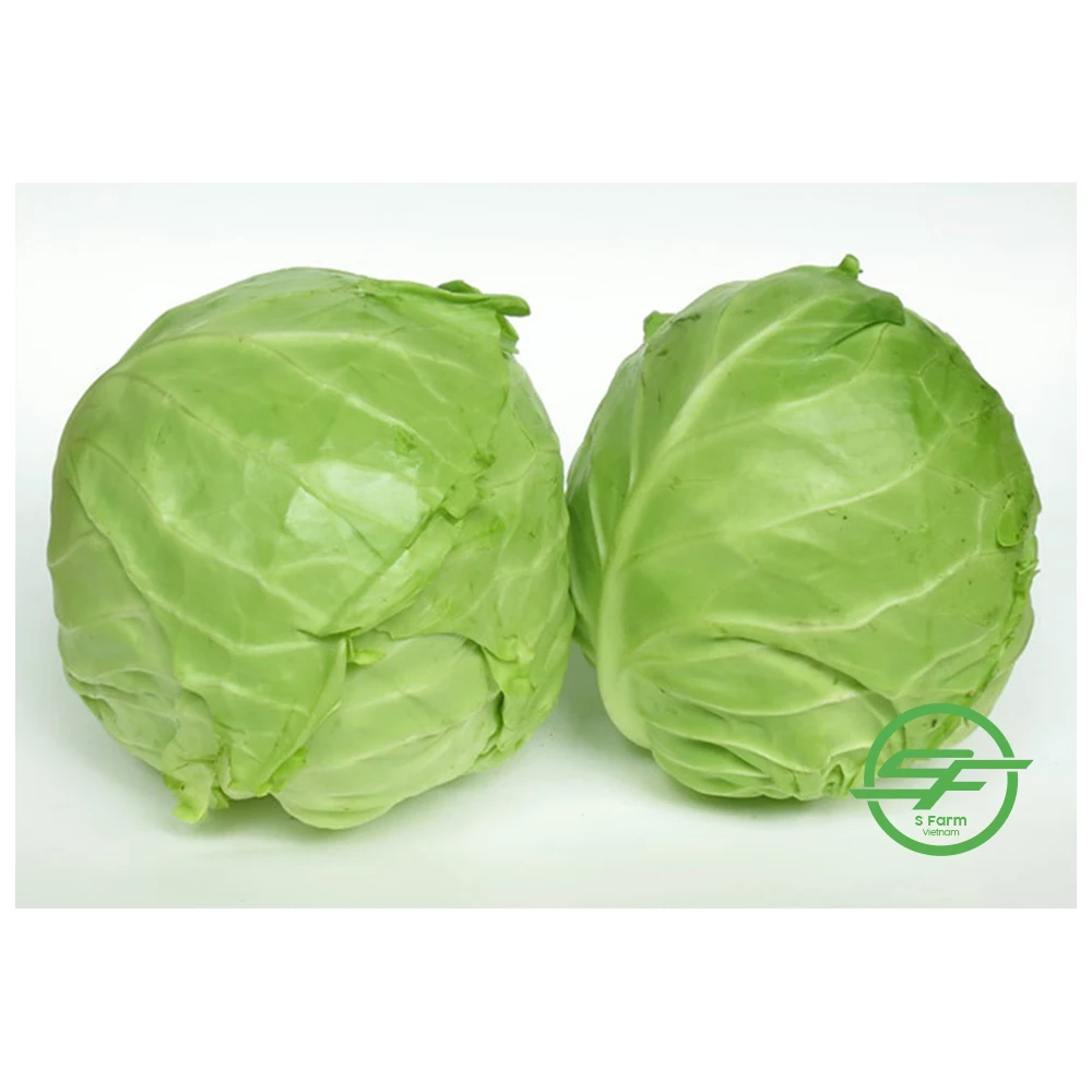 Свежая капуста Международная рыночная