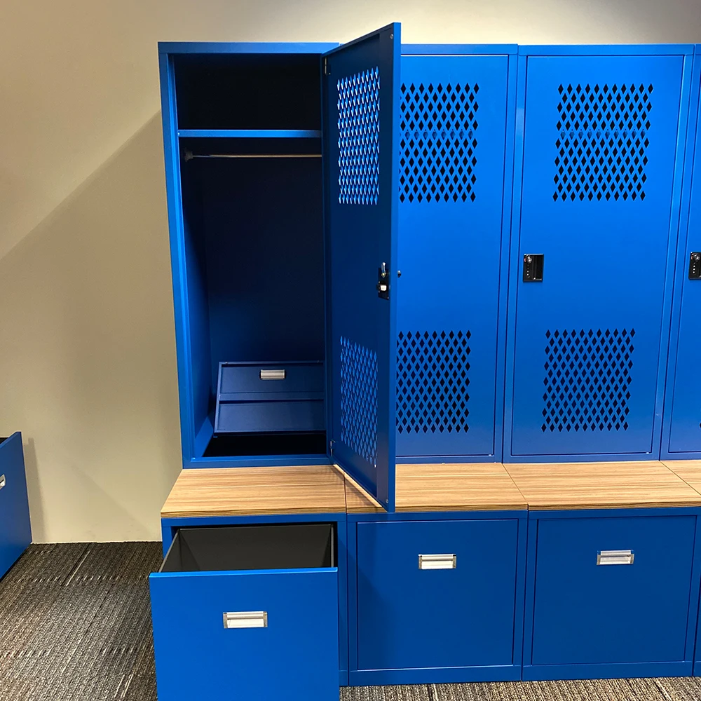  Производитель электронных шкафчиков Заводские металлические шкафчики под заказ для различных отраслей