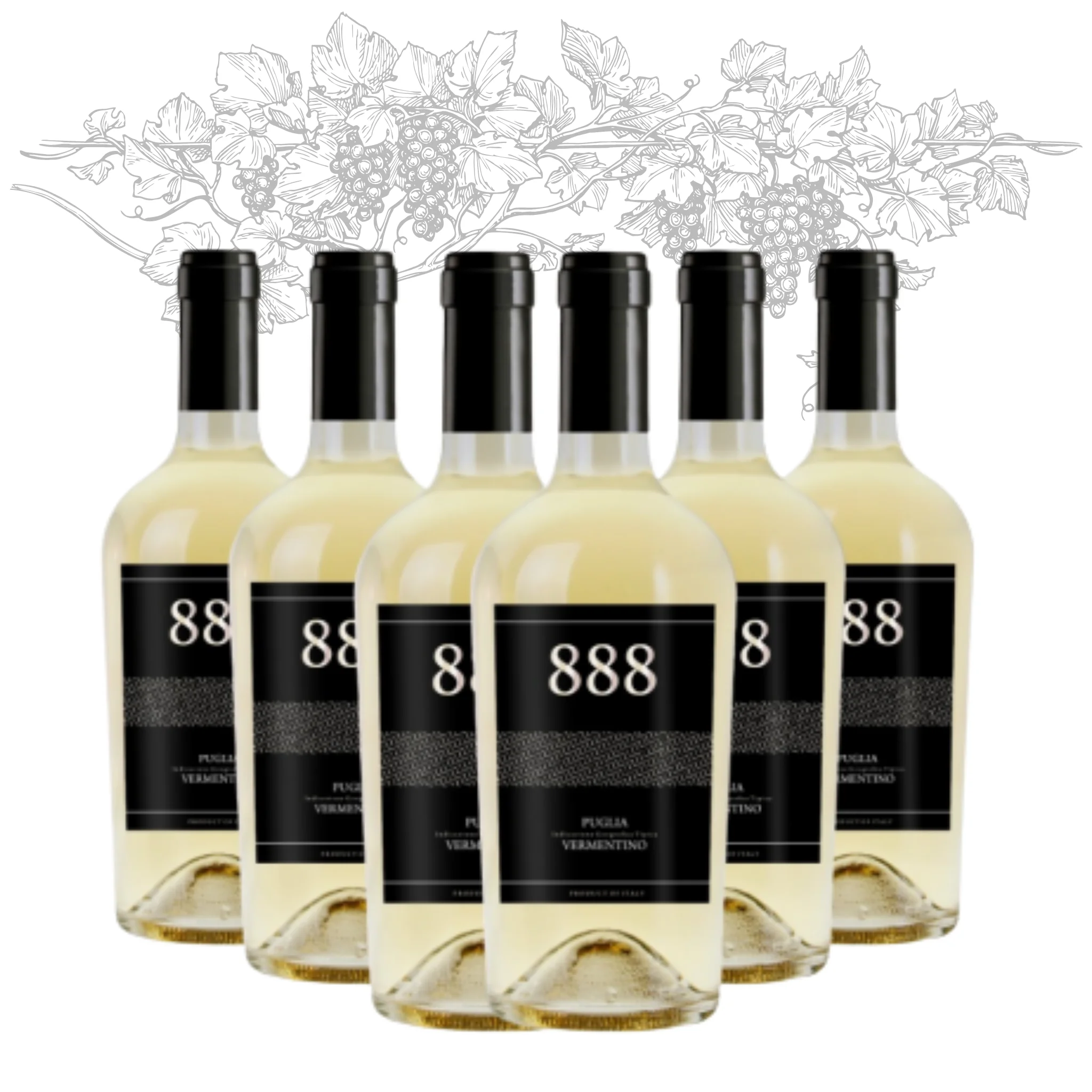 Top Made in Italy White Wine - Vermentino Puglia IGT 888 - White Table Wine bottles 750 ml alcohol 12.5% for export