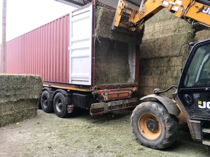 
Premium Quality Turkish Alfalfa Hay Bale, High Quality Green Color Turkish Lucerne Hay, Turkish Clover Hay 