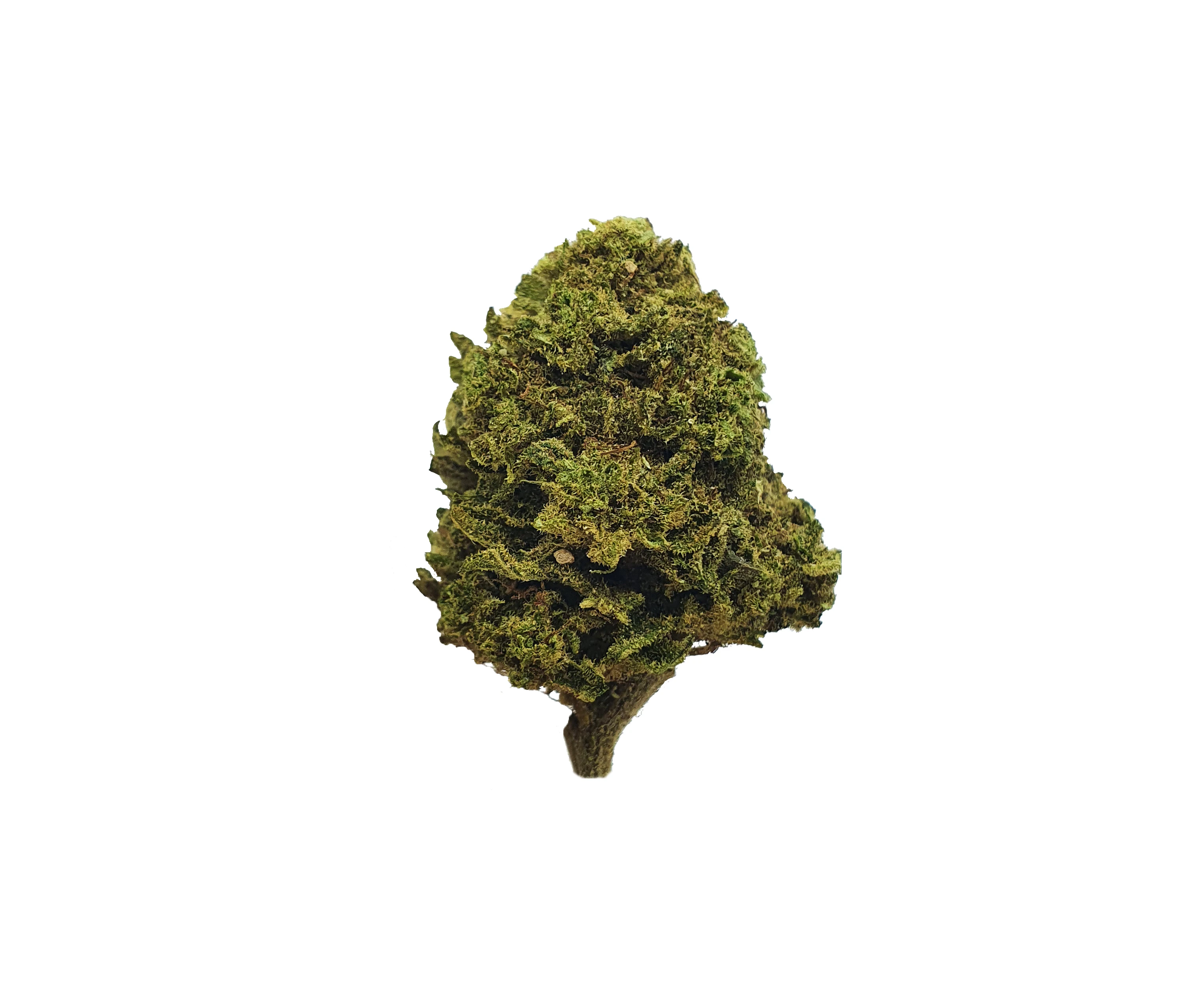 
Bubble Gum - 5% CBD - Premium Quality 