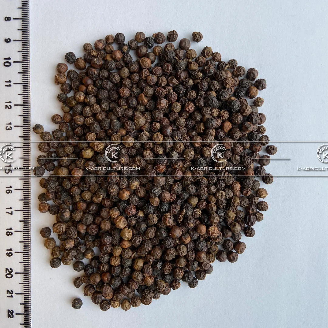  Лучшая цена черный перец Вьетнам готовый к отправке