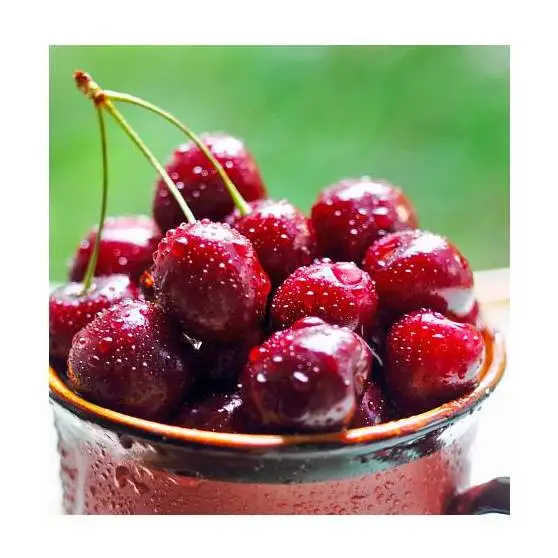 Fresh Cherry Organic Best Quality