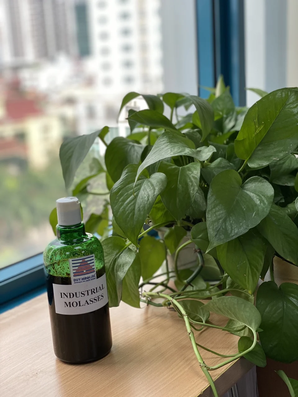 Sugar Cane Molasses With Standard Export Packaging From Duy Minh