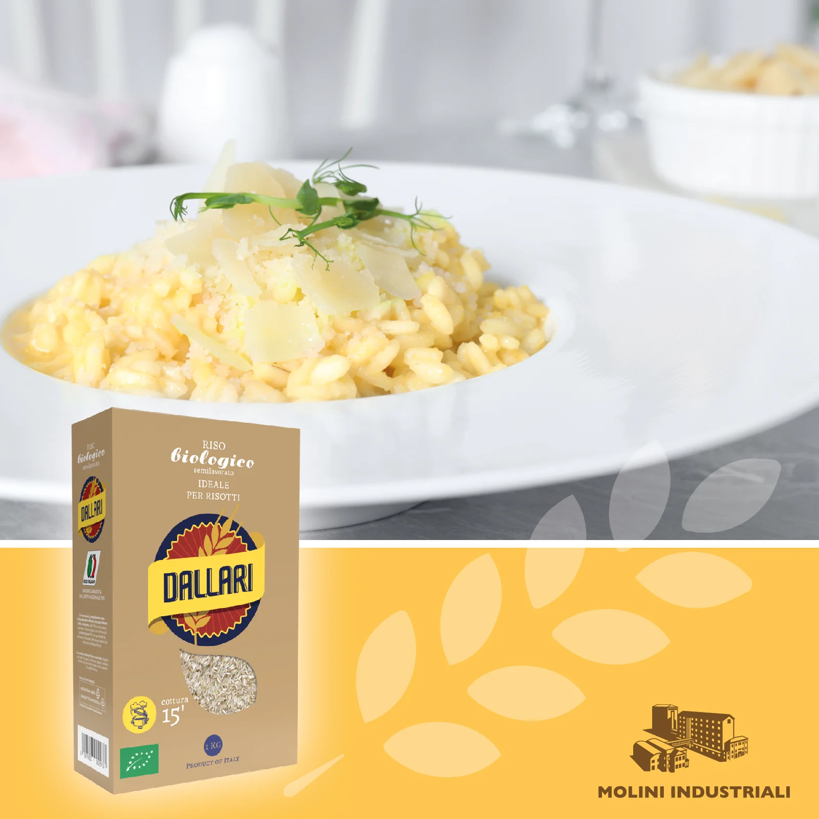 DALLARI ORGANIC RICE BIO HIGH QUALITY 100% MADE IN ITALY SUITABLE FOR RISOTTO - VACUUM PACKED 1KG