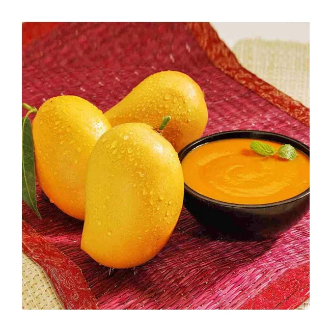 Totapuri Pulpa Mangga dengan wholesale mango pulp from india buy top quality totapuri mango pulp