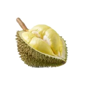 High Quality Fresh Durian For Export  Vietnam Fresh Durian Fruit Origin Type High Grade Good Price Best Taste Durians