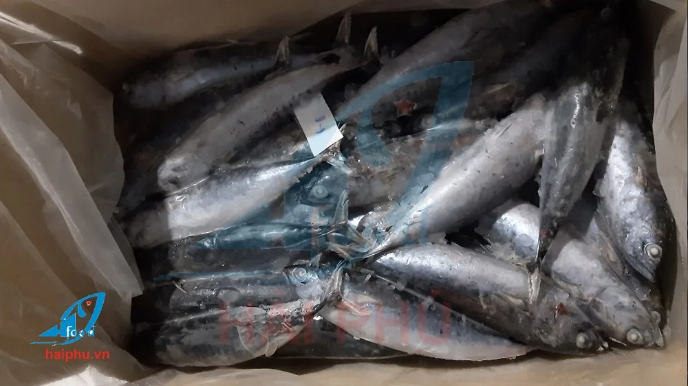 Пулевидный тунец по лучшей цене на вьетнамском рынке