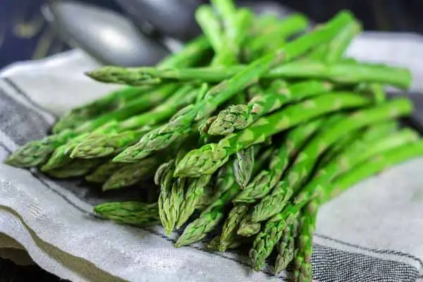 Fresh Green Asparagus Cheap Price From VietNam (+84589330283/Ms Daisy)