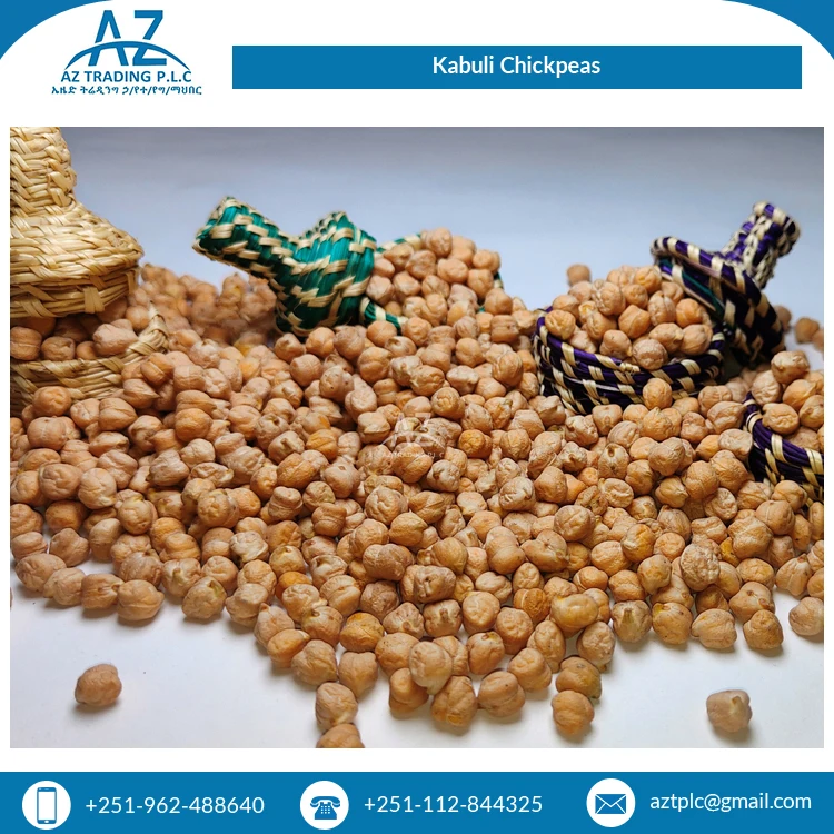 Bulk Quantity Available Dried Organic Ethiopian Kabuli Chick Peas / Chickpeas for Sale