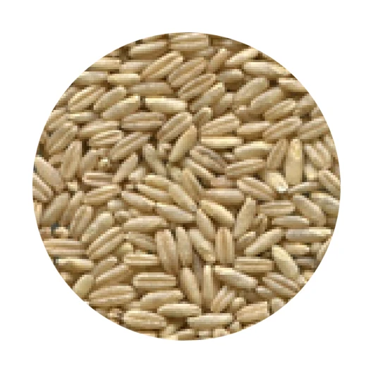 Отличное качество, натуральное зерно, оптовая продажа продуктов, овса