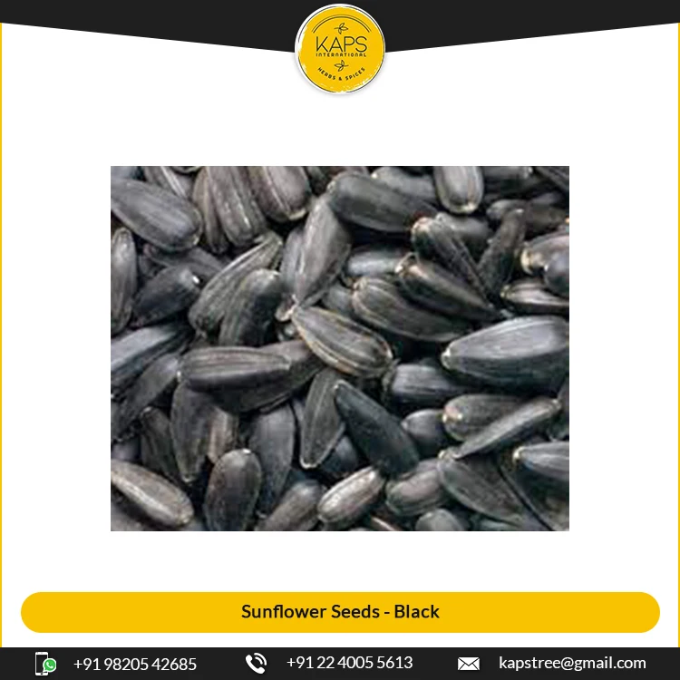 
Lowest Price Most Selling Top Notch Quality Black Color Dried Sunflower Seeds 