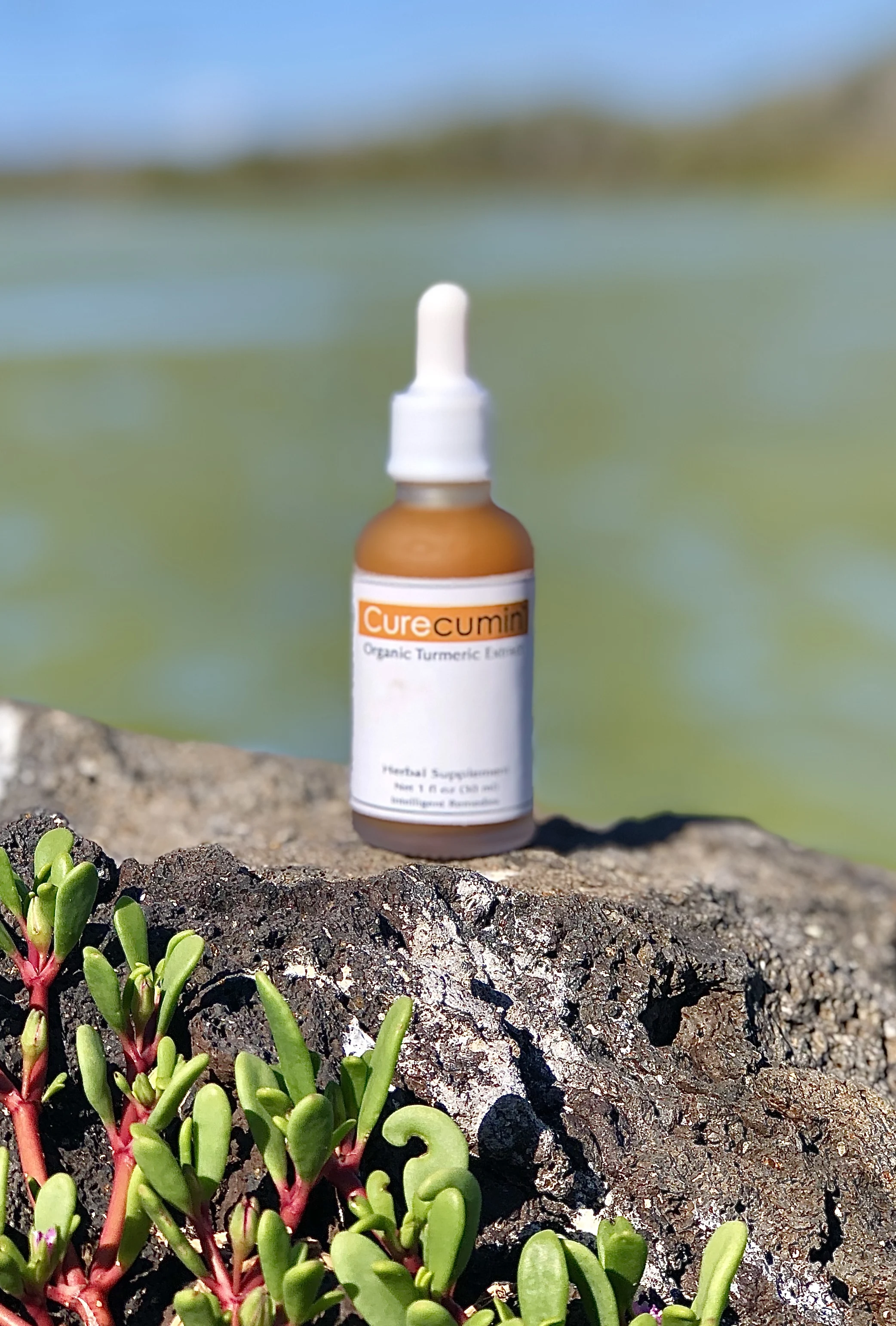 Интеллектуальные средства от минералов, органический экстракт куркумы, травяные добавки для иммунной системы, медицинская добавка