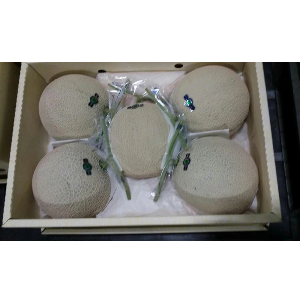 Wholesale fresh characteristics of sweet melon fruit for sale