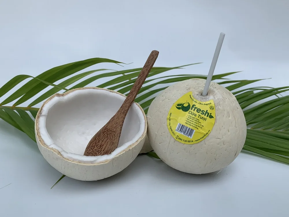 Vietnam Favourite Beverage Light Yellowish Young Coconut Organic Natural Fresh Convenient Coconut