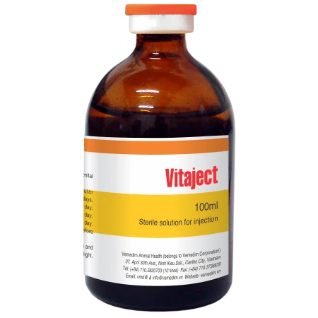 Vemedim Vietnam Vet GMP factory Multivitamin injection for Dog, Cat Vitaject