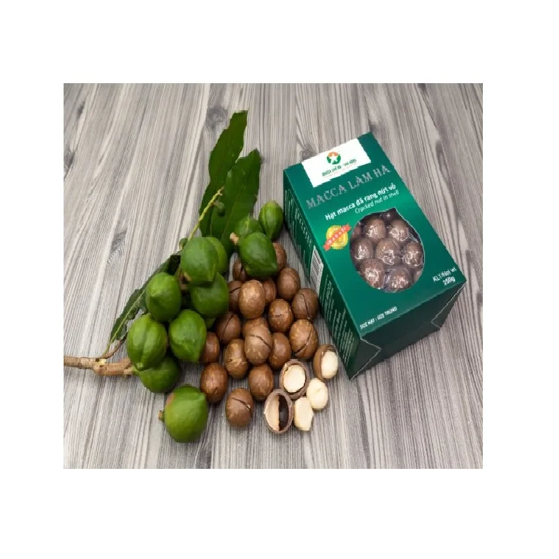 100% Macadamia nuts Dry Cracked in Shells Dred Style Organic Cultivation Type Macadamia nuts (green box) from Vietnam
