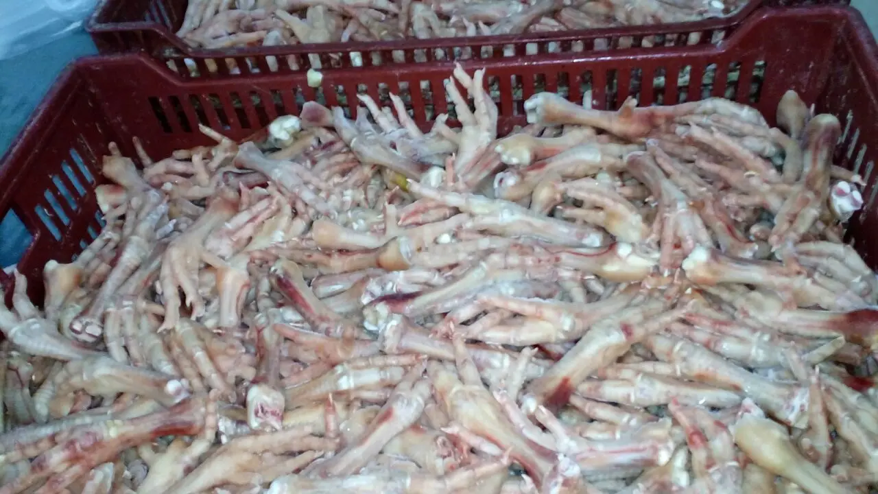 HIGH PREMIUM DUCK FEET 2021