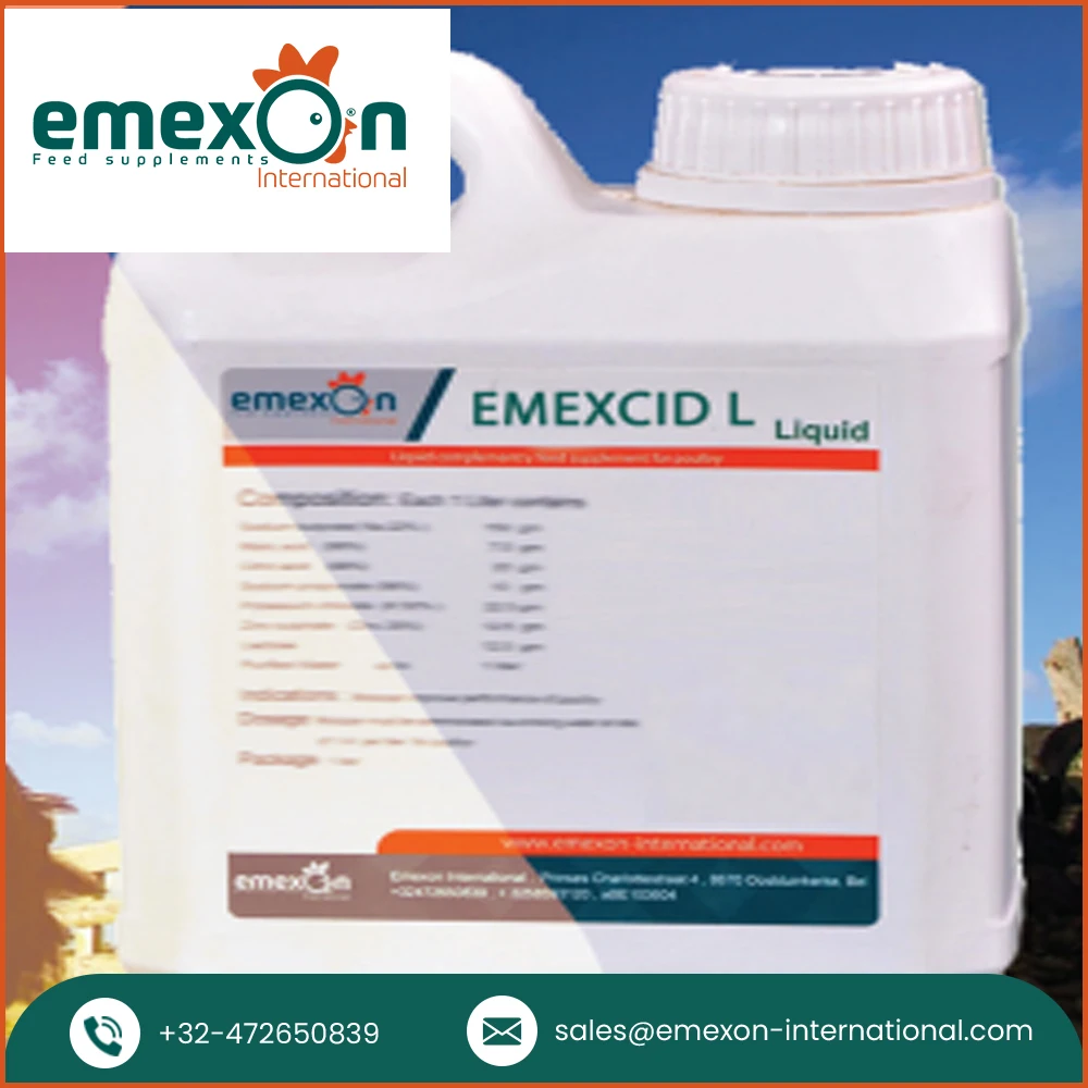 Best Soil Acidifier Oral Liquid Supplement Acidifier Emexcid L for Animal Treatment and Health Care