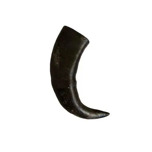 Buffalo Horn Natural Buffalo  and Horn Raw natural Horn for sale
