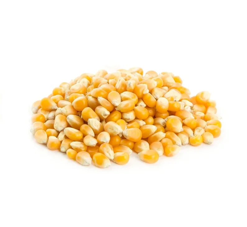 
Mushroom popcorn kernels - Yellow Popcorn Kernels 