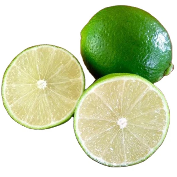 Fresh Seedless  Lime for Middle East, contact whatsapp +84963818434