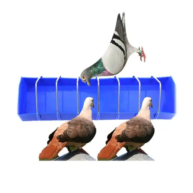 Wholesale Plastic Bird Feeder Poultry Quail Water Drinker Pigeon Feeding Trough