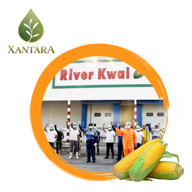 
Sweet corn canned Sweet canned Foods 