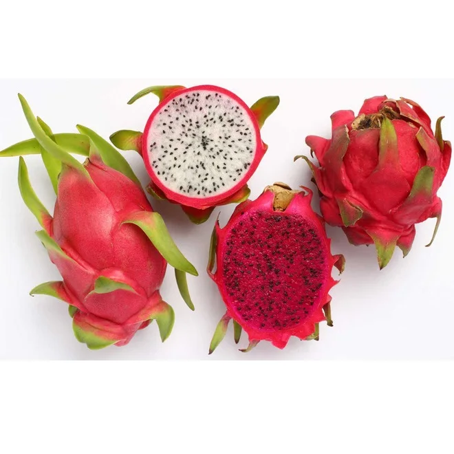 
Best Quality Tasty Fresh Dragon Fruit From Vietnam 0084 815570479 