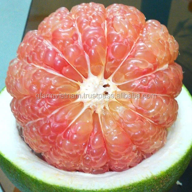 
2019 new Fresh pomelo Vietnam for sale with best price 