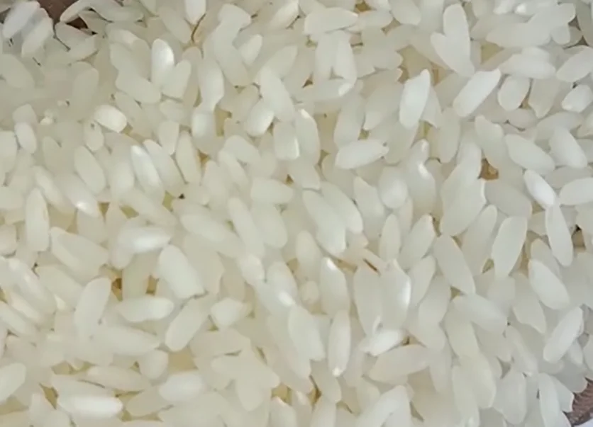 
Premium Quality Indian Swarna Raw Rice 