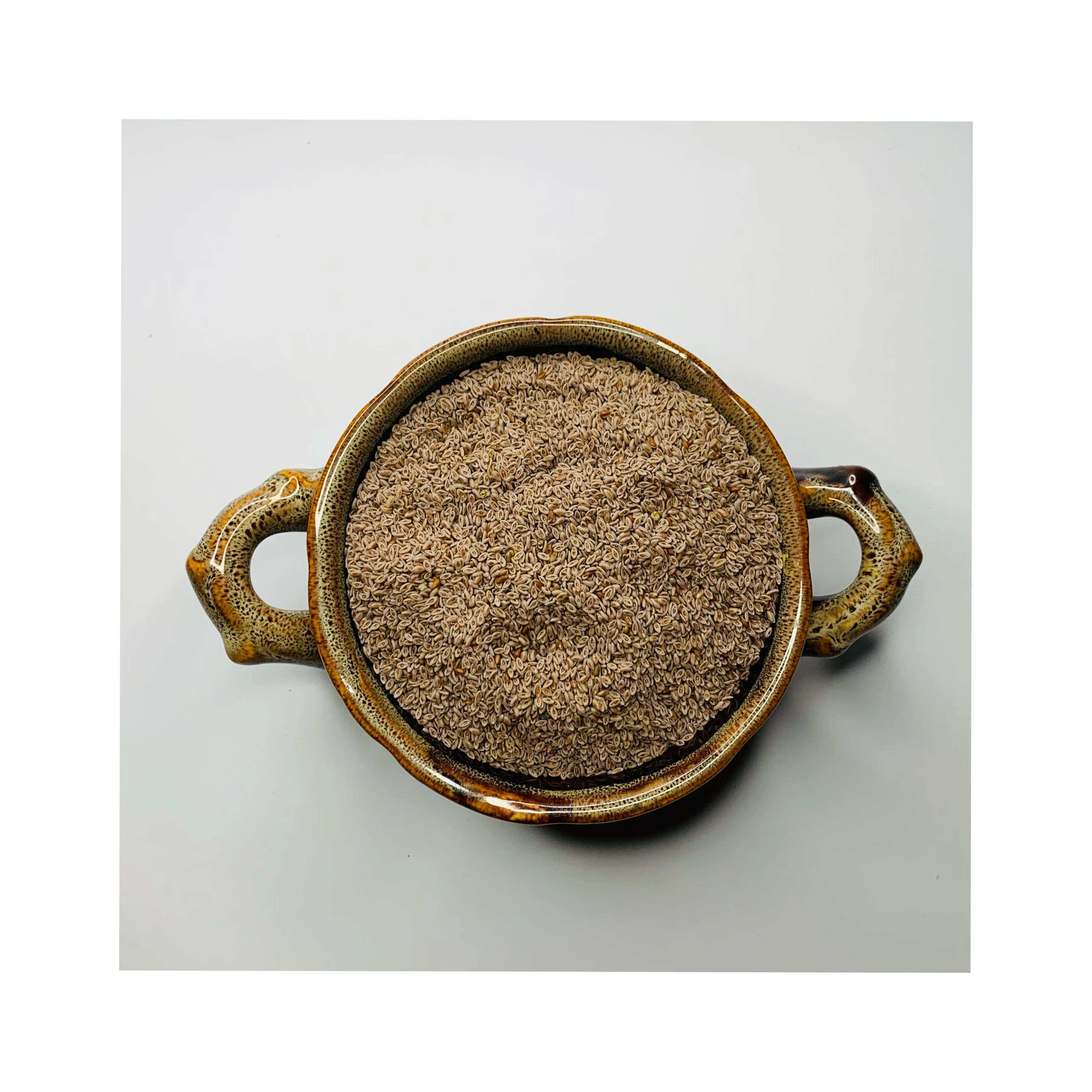 Organic Psyllium Seed Premium High Quality Pure Extract 99% Wholesale Bulk Quantity Retail Best Price Best Quality