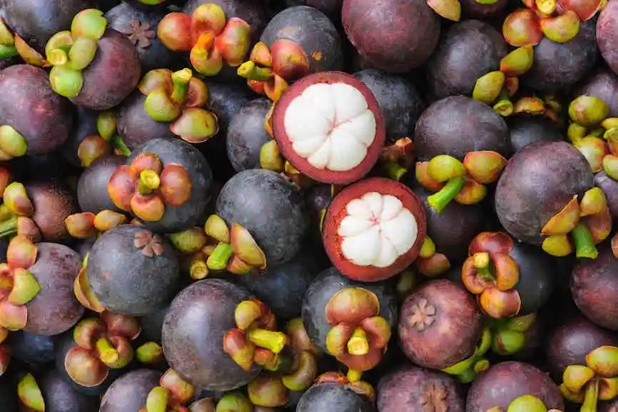 Mangosteen - Tropical Fruit Fresh And Sweet No Preservative Special Taste Natural Steamed Fresh Mangosteen