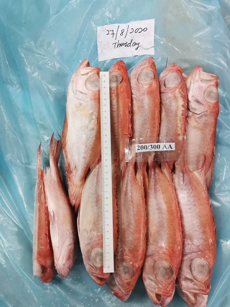 Натуральный красный цвет, замороженные круглые рыбы с большими глазами с максимальной влажностью 0.05% из малайзии