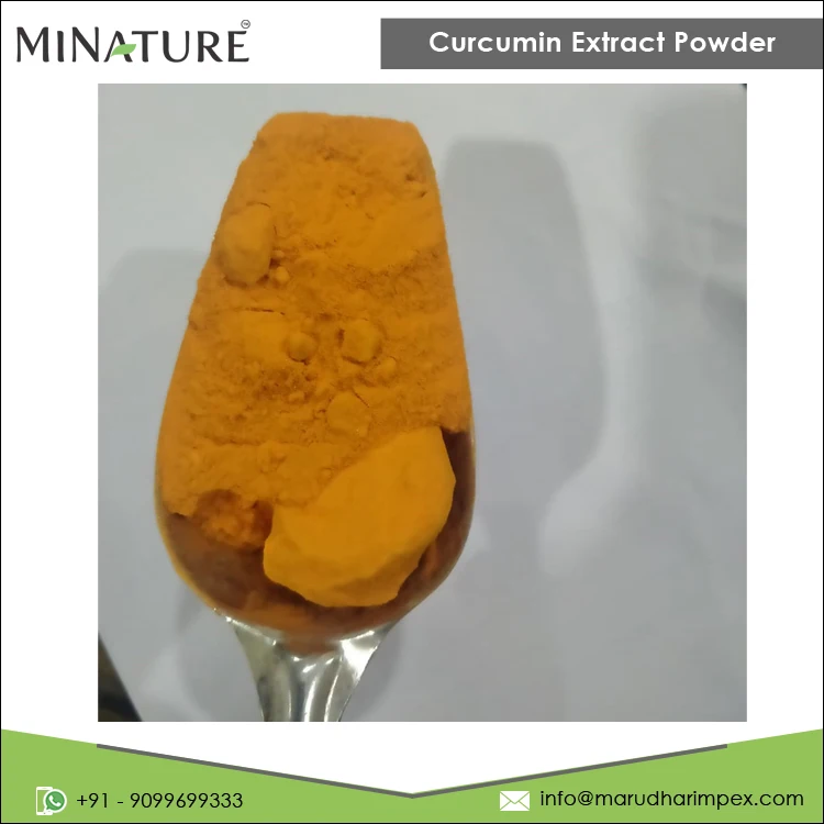 Wholesale Price Good Quality 100% Pure Private Label Curcumin Extract 95% Powder Manufacturer