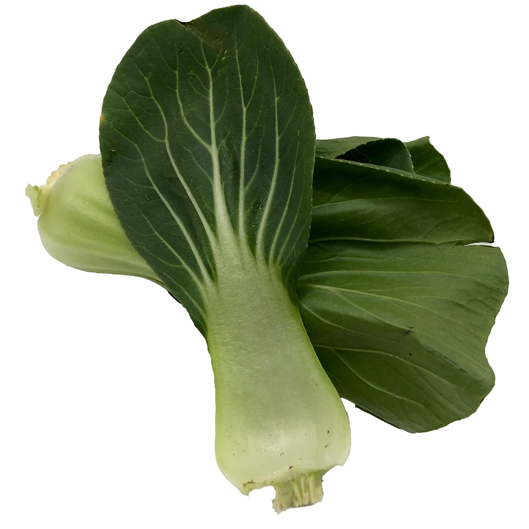 Imported Quality Super Fresh 80 percent maturity Pak Choi Other Fresh Vegetables Price Box Packing Top Grade Selecting