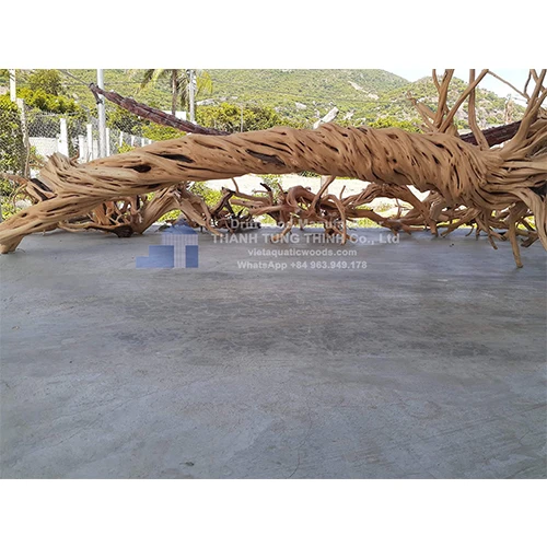 New arrival Aquarium Driftwood for Fish Tank Aquascape Decoration WhatsApp +84 963 949 178