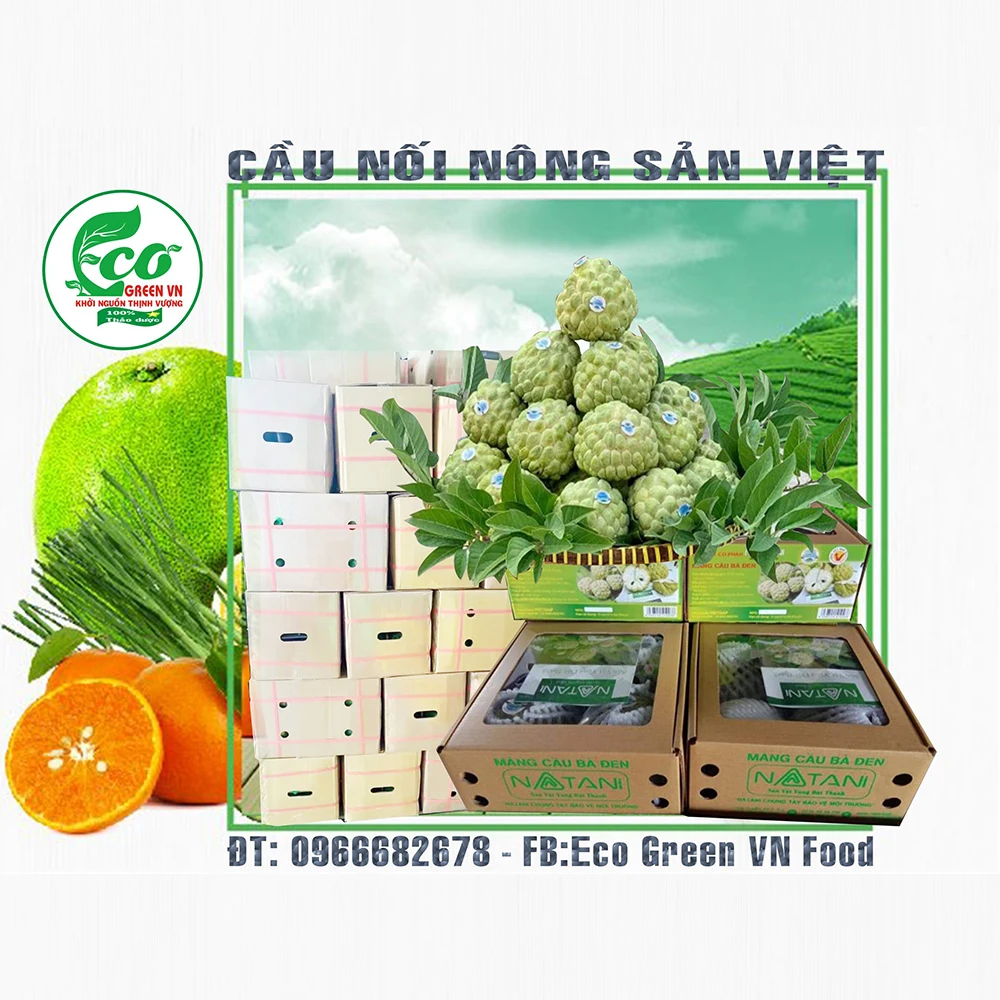 Свежие фрукты из яблока, разные весы