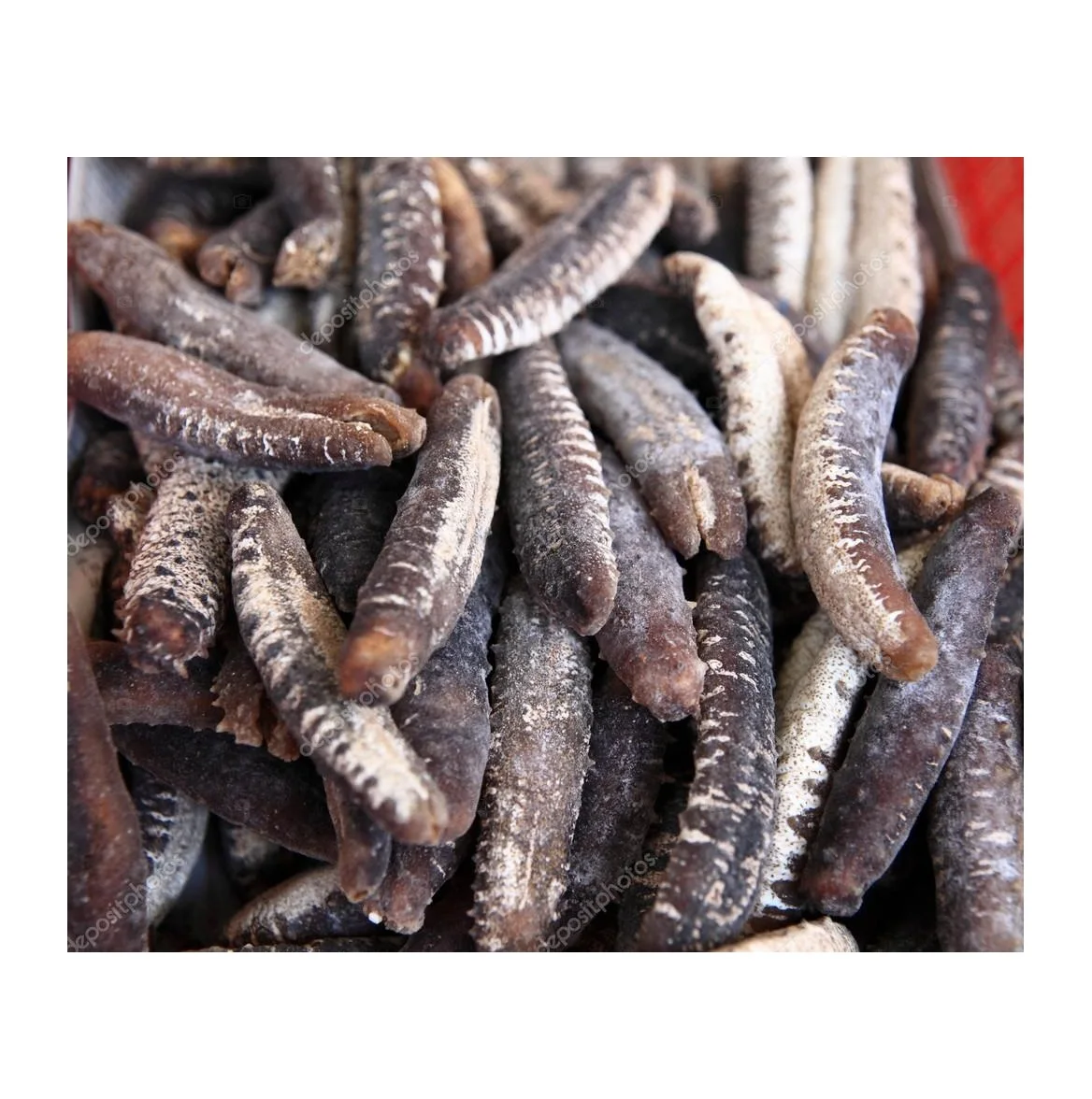 NATURAL DIFFERENT SIZE DRIED SEA CUCUMBER DRIED BLACK STICHOPUS JAPONICUS FROM VIETNAM